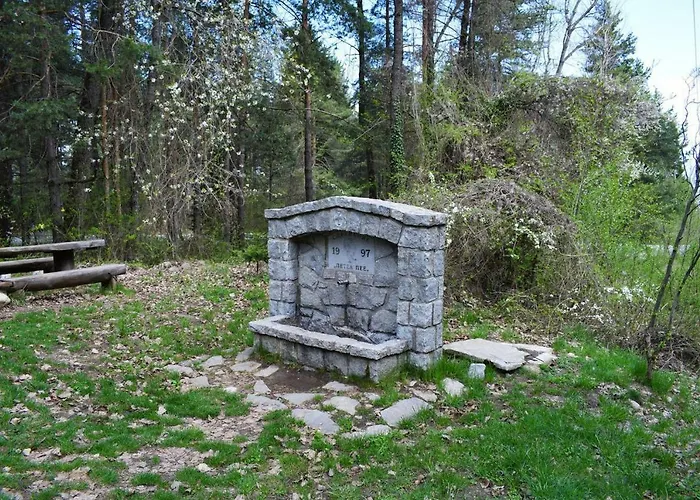 Detelina Apartman Banszko